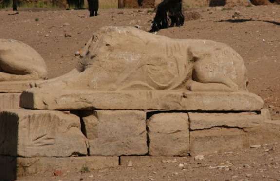 8º.Dia. San Bartomeu - En Dahabiya, por el Nilo, con otros ojos (10)